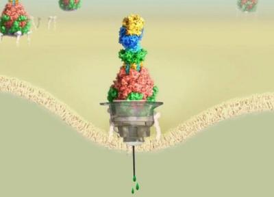 دستکاری باکتری ها برای تزریق دارو به جای سم