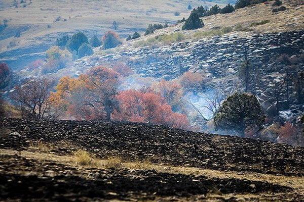 امکان عمدی بودن آتش سوزی ها وجود دارد امکان عمدی بودن آتش سوزی ها وجود دارد