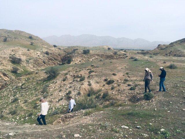 تایید وجود دسته های ملخ مهاجم در قیروکارزین فارس تایید وجود دسته های ملخ مهاجم در قیروکارزین فارس