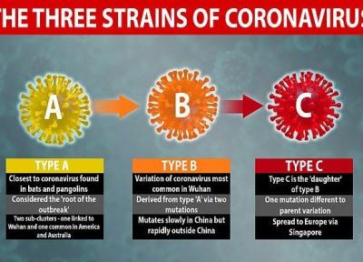 شناسایی 3 گونه مختلف ویروس کرونا توسط محققان دانشگاه کمبریج شمار مبتلایان کانون شیوع کرونا در کره جنوبی صفر شد پیش بینی کانادا درباره احتمال افزایش قربانیان کرونا تا 22 هزار نفر