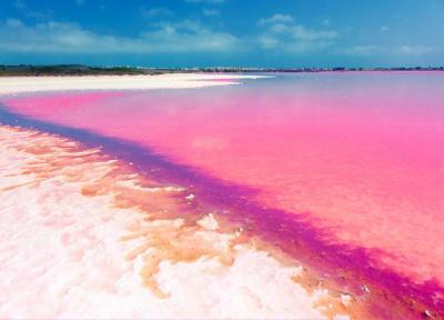 معرفی زیباترین ساحل های دنیا به رنگ صورتی