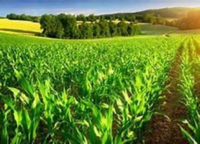 همه زمین های کشاورزی تا سال 1404 سنددار می گردد